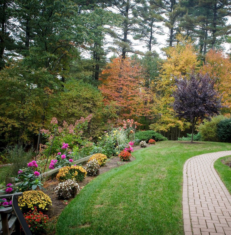 Autumn